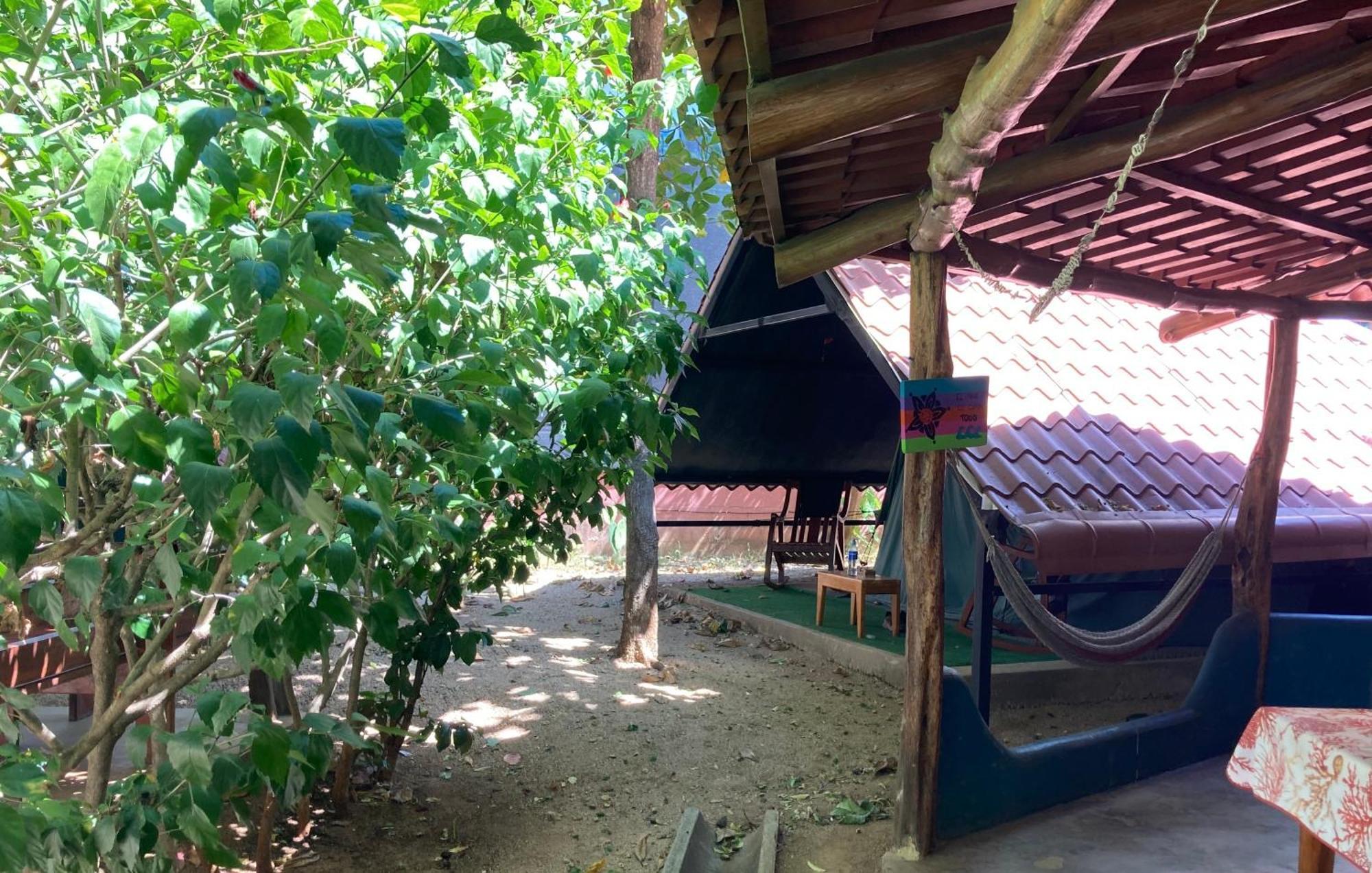 Tamahostel & Glamping Tamarindo Kültér fotó